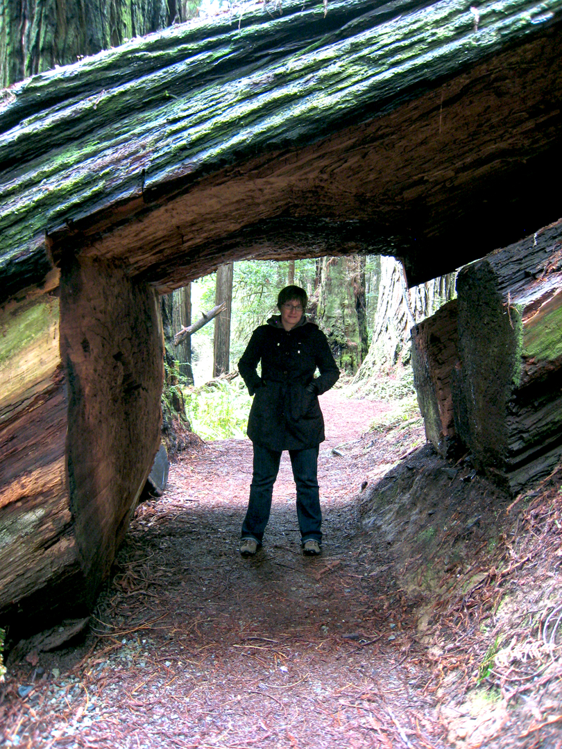 Prairie Creek Redwoods State Park