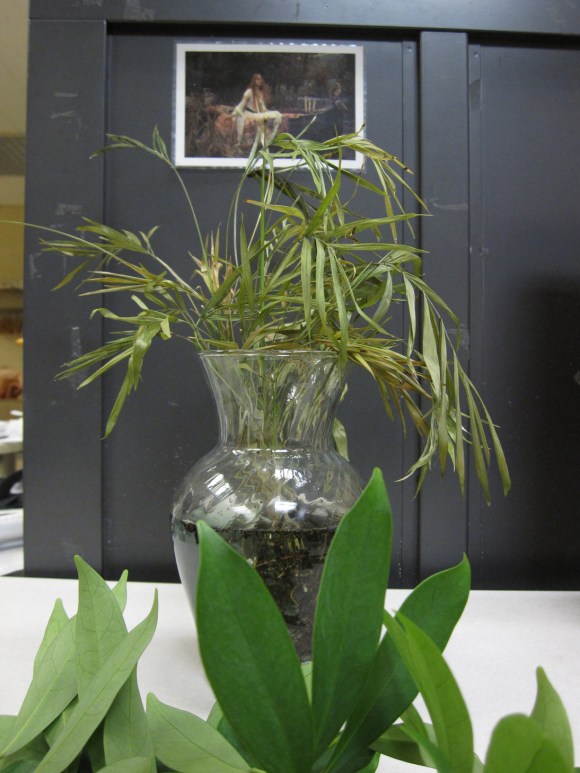 Cuttings from a plant sit in a vase on a desk.