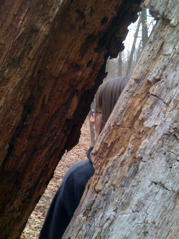 Me in a Tree