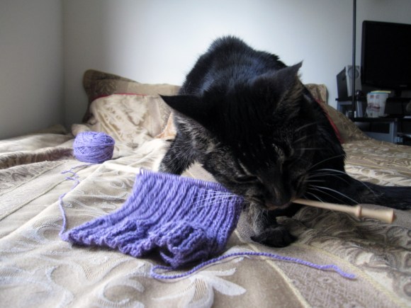 A knitting project sits on a knitting needle. A dark cat picks up the knitting need in her mouth.