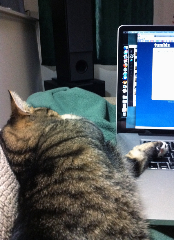 Sophie thinks it's incredibly inconvenient that laptops sit on laps.